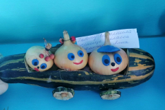 IMG-1829c9481ae296c6dd7601d933f7144e-V